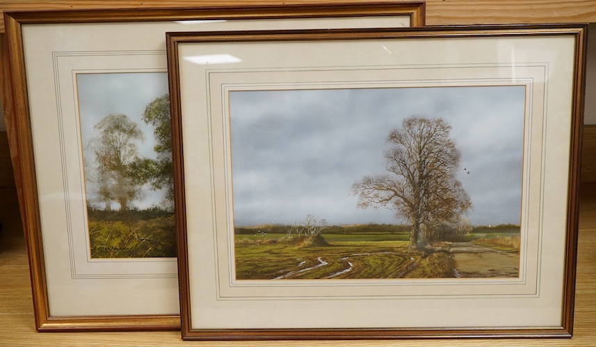 Peter Robinson (contemporary), Rural landscapes, each signed, two gouaches, largest 27 x 38cm